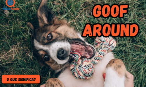 Goof around | O que significa?